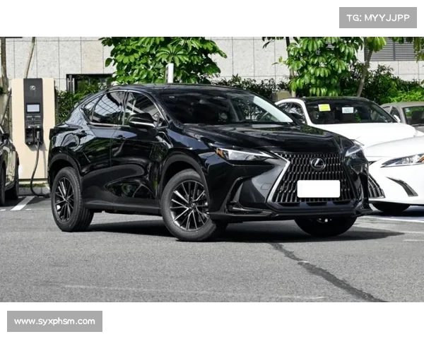 “金色雷克萨斯SUV”限量上市,高大威猛,2.5L+8AT,低至22万起 “金色雷克萨斯SUV”限量上市,高大威猛,2.5L+8AT,低至22万起